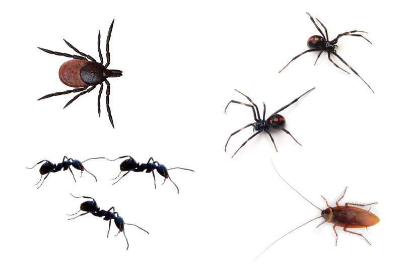 School and Daycare Pest Control